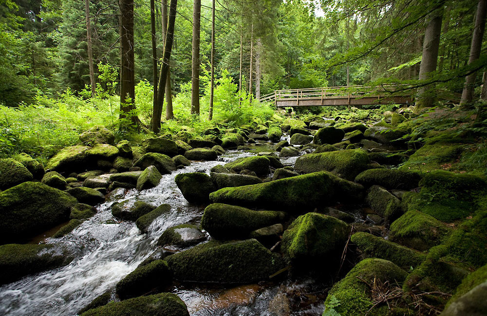 Wandern in der Saussbachklamm in Waldkirchen